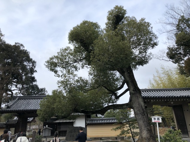 kyoto-kinkaku-ji