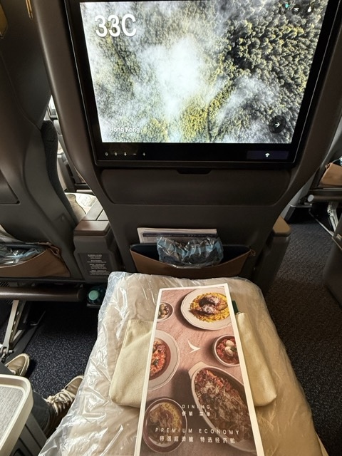 flights-cx-288-cathay-pacific-frankfurt-fre-hongkong-hkg-premium-economy-1