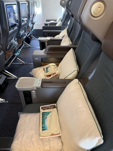 [飛行體驗] CX 288 國泰航空 德國法蘭克福 香港 豪華經濟艙