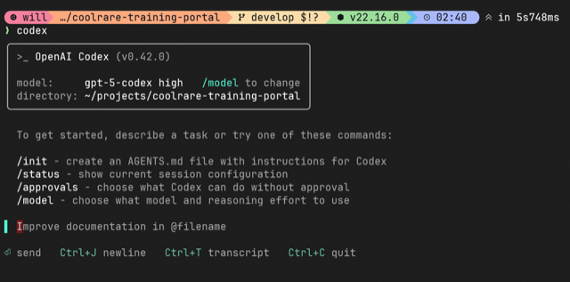 notes-openai-codex-cli-duotify-1